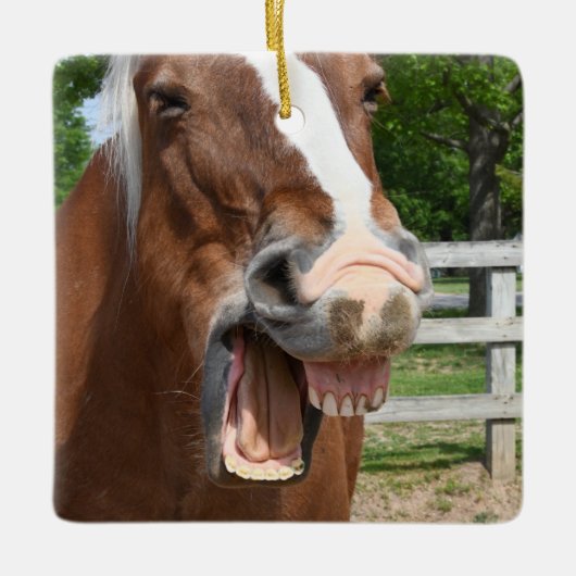 Funny Laughing Horse Keramisch Ornament (Voorkant)