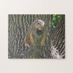 Funny Lazy Squirrel Laying on Tree Branch Legpuzzel