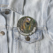 Funny Lazy Squirrel Napping in Tree Button (In situ)