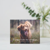 Funny Lick de Envelop Pet Christmas Kaart (Staand voorkant)