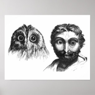 Funny Likiness between Man and Owl  Cartoon Poster