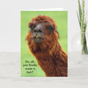 Funny Llama Afstuderen Card Kaart