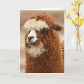 Funny Llama Birthday Kaart (Gele Bloem)