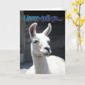 Funny Llama Bonne Carte de voeux d'anniversaire (Fleur jaune)