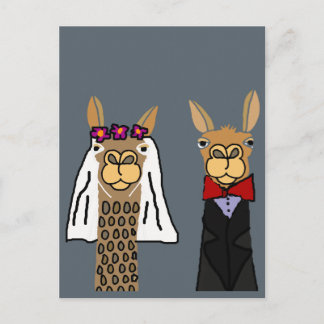 Funny Llama Bride en Groom Wedding Art Briefkaart