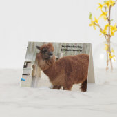 Funny Llama carte d'anniversaire (Fleur jaune)
