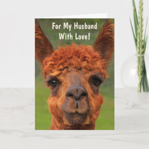 Funny Llama "For My Husband" Birthday Kaart