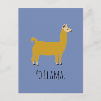 Funny Llama Pun Briefkaart