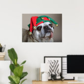 Funny looking pug with tongue hanging out poster (Thuiskantoor)