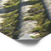 Funny Magpie Print (Hoek)