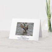 Funny Mallard Duck Carte d'anniversaire (Dos)