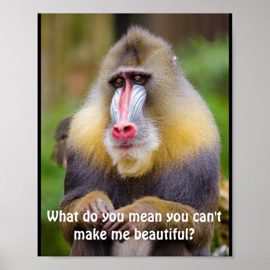 Funny Mandrill Stylists Poster (Voorkant)