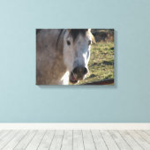 Funny Mare Canvas Afdruk (Insitu (Houten vloer))
