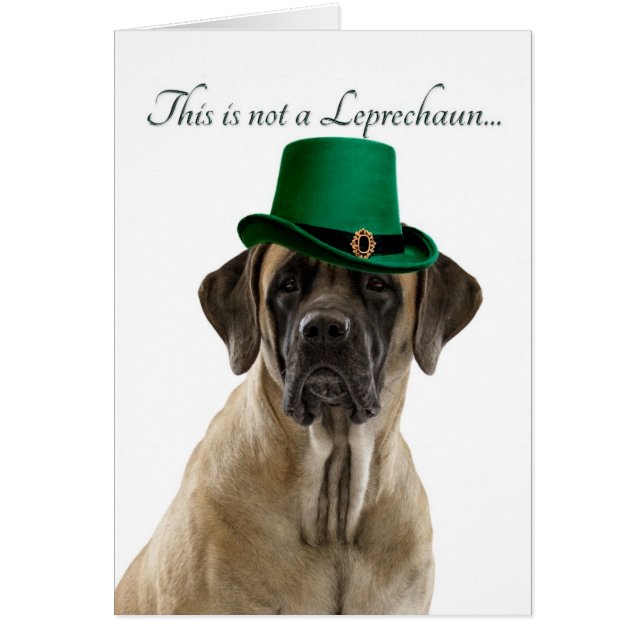 Funny Mastiff Leprechaun Card (Devant)