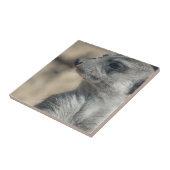 Funny Meerkat Tegeltje (Zijkant)