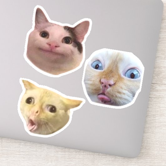 Funny Meme Cat Face Sticker (Detail)