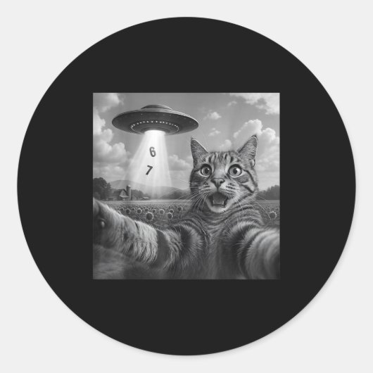Funny Meme Cat Selfie Six Seven Retro Cat 67 Anima Ronde Sticker (Voorkant)