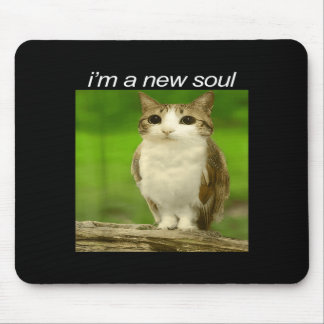 Funny Meowl Cat Owl Brainrot Cursed Internet Silly Muismat