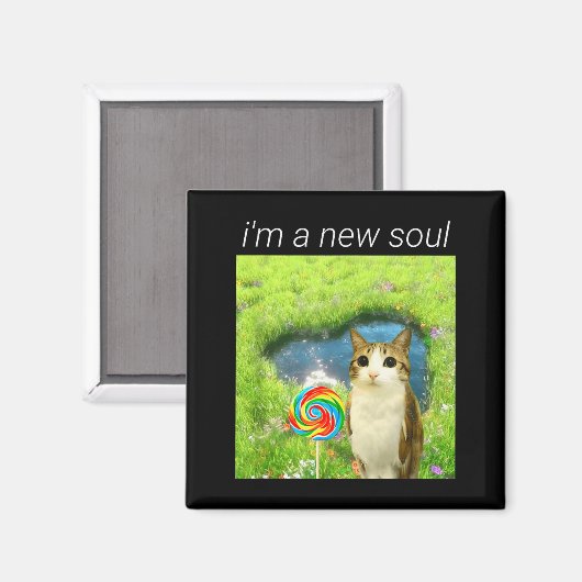 Funny Meowl Meme, Cat Owl Meme Brainrot Gen Alpha Magneet (Voorkant / Achterkant)