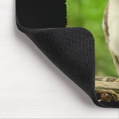 Funny Meowl Meme, Cat Owl Meme Brainrot Gen Alpha Muismat (Hoek)