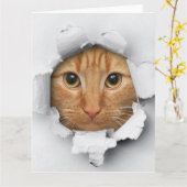 Funny Mischievous Cute Ginger Cat Kaart (Gele Bloem)