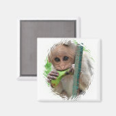 Funny Monkey Afbeelding Magnet Magneet (Voorkant / Achterkant)