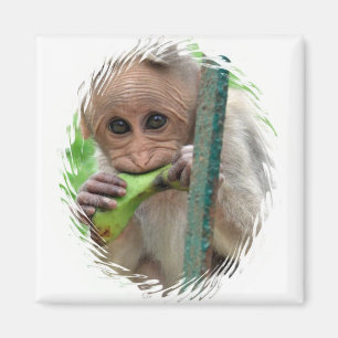Funny Monkey Afbeelding Magnet Magneet