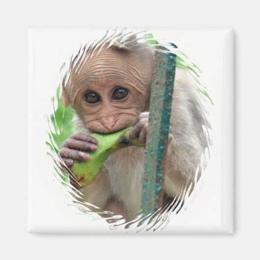 Funny Monkey Afbeelding Magnet Magneet (Voorkant)
