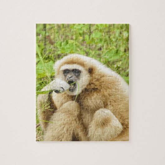 Funny Monkey Animal Legpuzzel (Verticaal)
