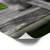 Funny Monkey Ape Gorilla Nemes met Funny Sayings Perfect Poster (Hoek)