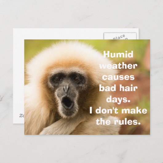Funny Monkey Bad Hair Day Briefkaart (Voorkant / Achterkant)