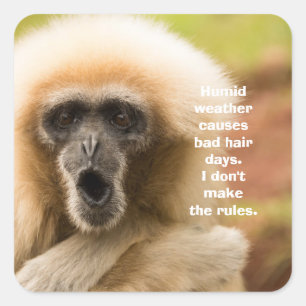 Funny Monkey Bad Hair Day Vierkante Sticker