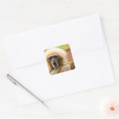 Funny Monkey Bad Hair Day Vierkante Sticker (Envelop)