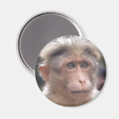 Funny Monkey Magnet Magneet (Voorkant / Achterkant)