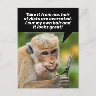 Funny Monkey met een Bad Hair Cut-Shelter op zijn  Briefkaart