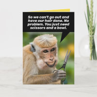Funny Monkey met een Bad Hair Cut-Shelter op zijn