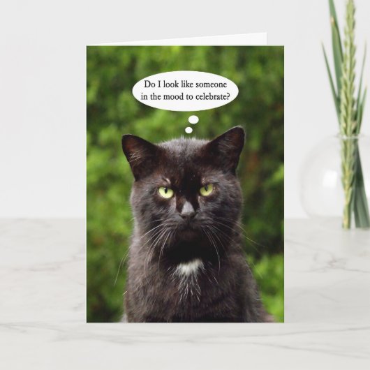 Funny Moody Black Cat carte d'anniversaire (Devant)