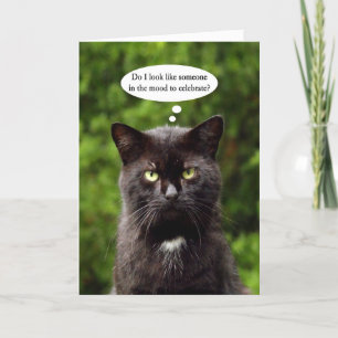 Funny Moody Black Cat carte d'anniversaire