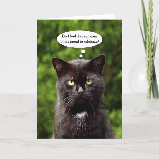 Funny Moody Black Cat Carte D Anniversaire Zazzle Be