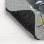 Funny Moorhen neemt een Bow Mousepad Muismat (Hoek)