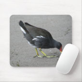 Funny Moorhen neemt een Bow Mousepad Muismat (Met muis)