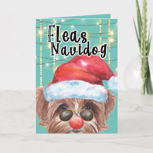 Funny Multipoo-hond met kerstmis navidog Kaart