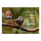 Funny Naughty of Nice Cheeky Pair of Zebra Finches (Voorkant Horizontaal)
