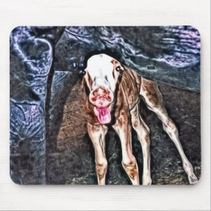Funny Newborn Foal Muismat