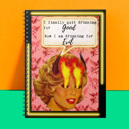 Funny Notebook Journal Best Friend Gift "Evil"