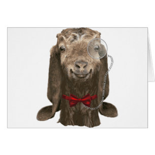 Funny Nubian Goat met monocle