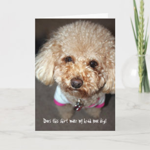 Funny obtenir la carte de bien