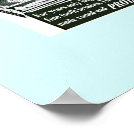 Funny Old ToothBrusad: Pigs & Toothbrushes Poster (Hoek)