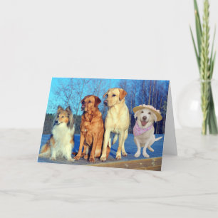 Funny One of a Kind Lab Birthday Kaart