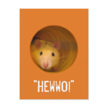 Funny Optical Illusion Rat in Gat